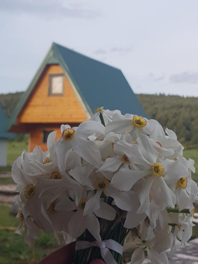 Bungalovi Tim Žabljak Exteriér fotografie