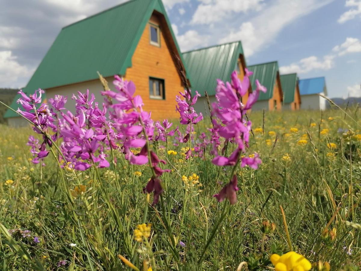Bungalovi Tim Žabljak Exteriér fotografie
