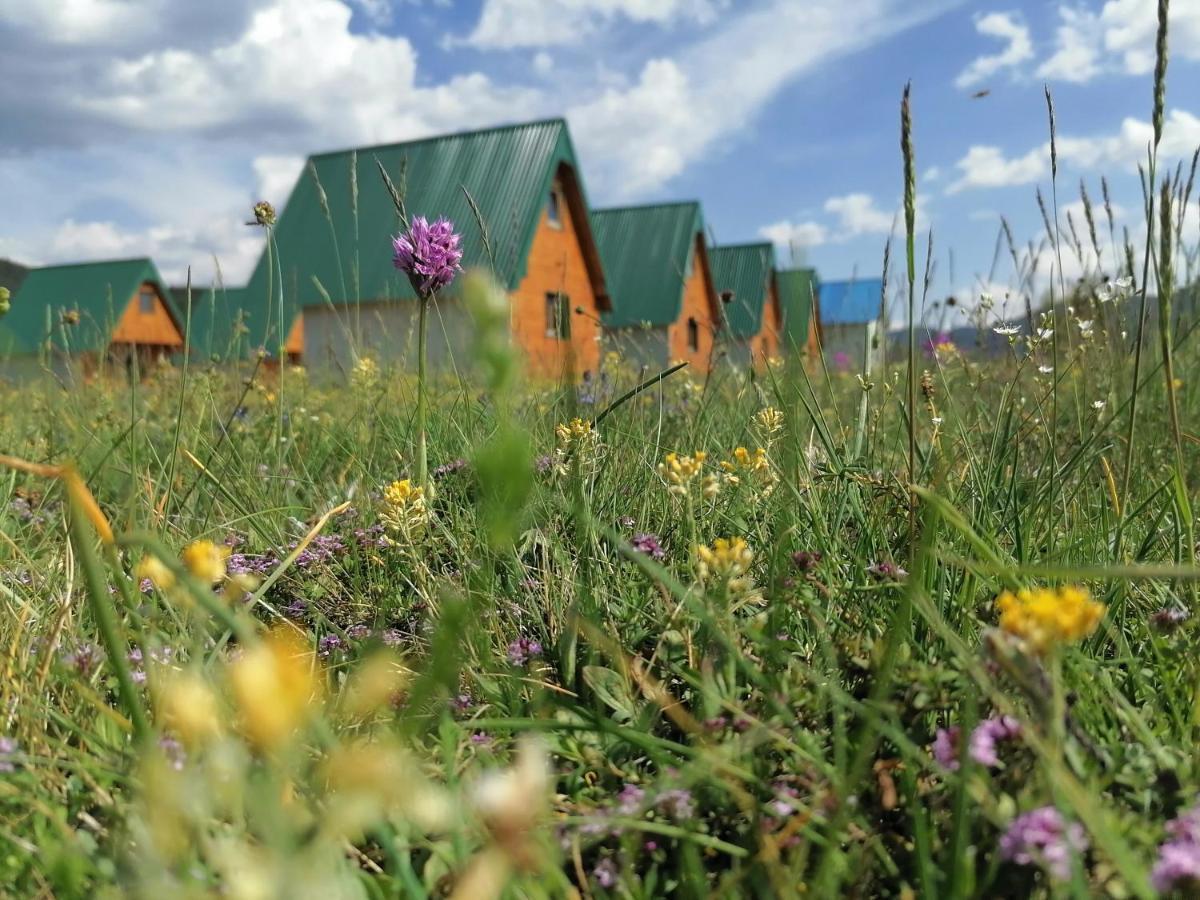 Bungalovi Tim Žabljak Exteriér fotografie