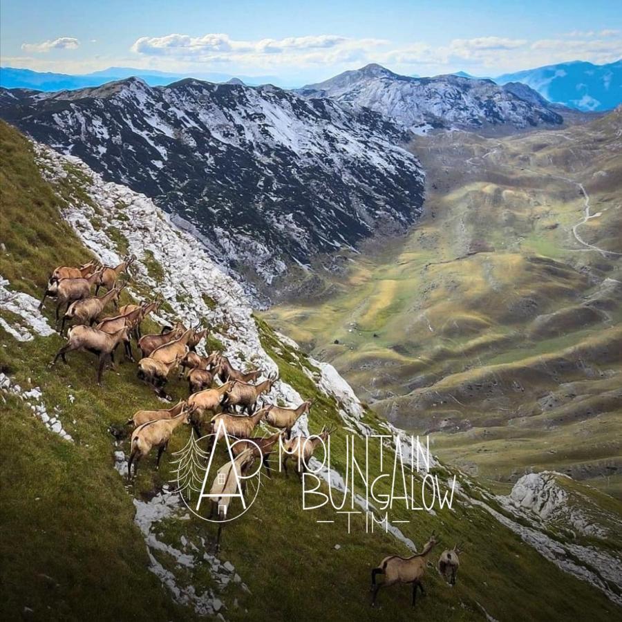 Bungalovi Tim Žabljak Exteriér fotografie